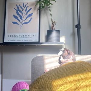 Matisse Prints 50x70cm